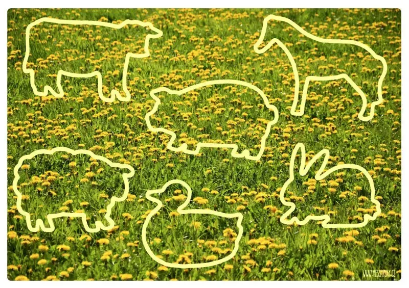 Farma v pampeliškách PDF